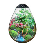 Chihiros ECO Ping Terrarium