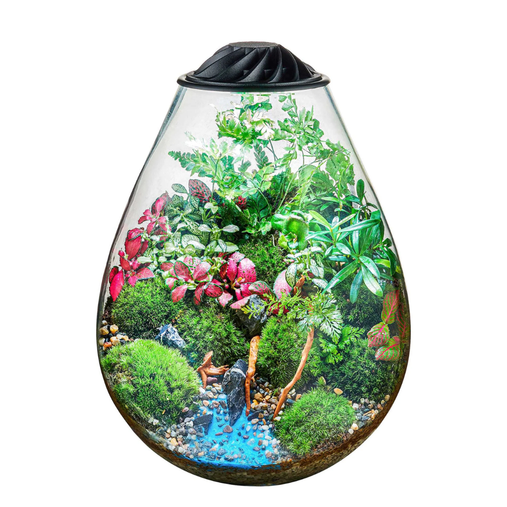 Chihiros ECO Ping Terrarium