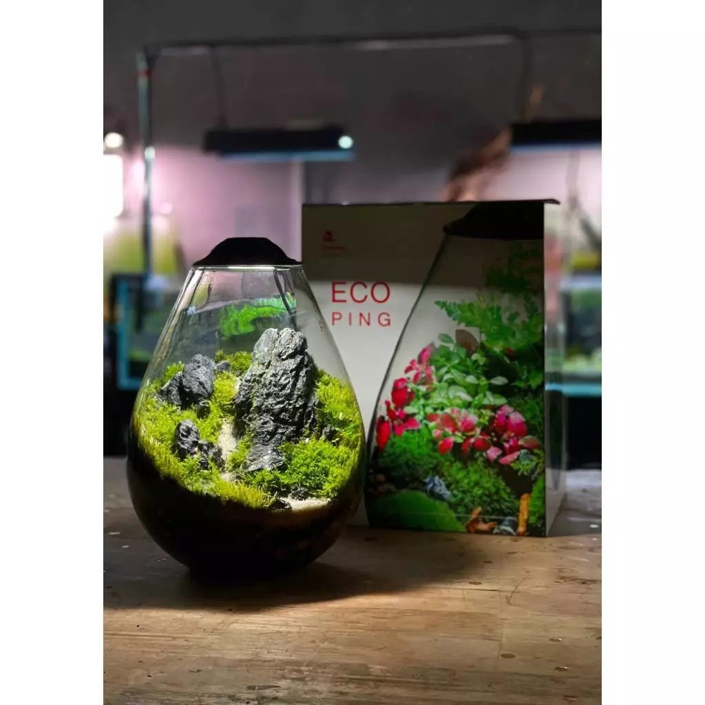 Chihiros ECO Ping Terrarium - Image 9